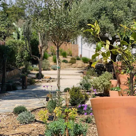 Le Rossignol 3, Aiguebelle Plage, * Le Lavandou