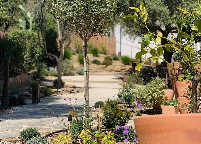 Le Rossignol 3, Aiguebelle Plage, * Le Lavandou